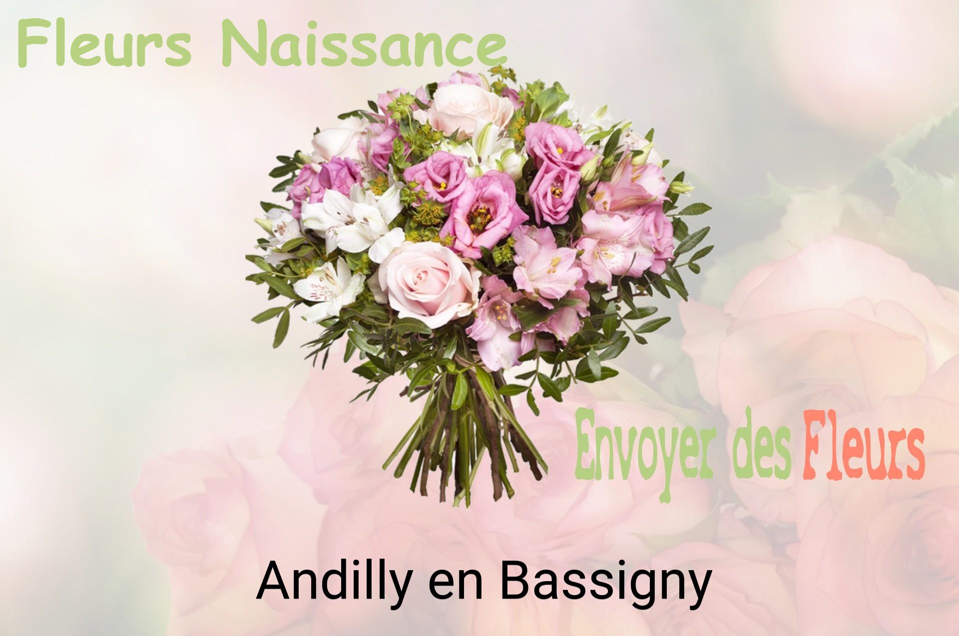 Bouquet de fleurs de naissance livré à Andilly-en-Bassigny